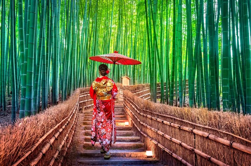 Arashiyama Bamboo Forest in Kyoto Japan scenic walkway