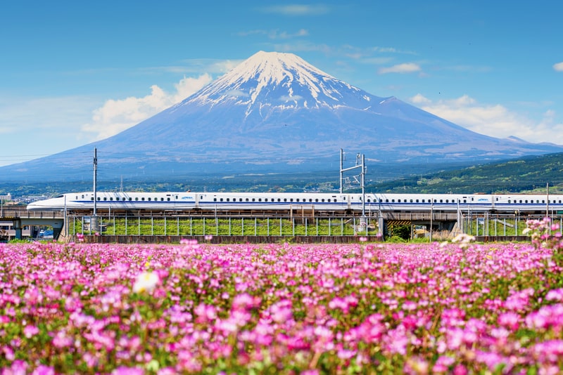 Watching Mt. Fuji pass by while speeding on the Hinkansen Bullet Train is an unforgettable moment during our Japan Language study tours for teenagers.