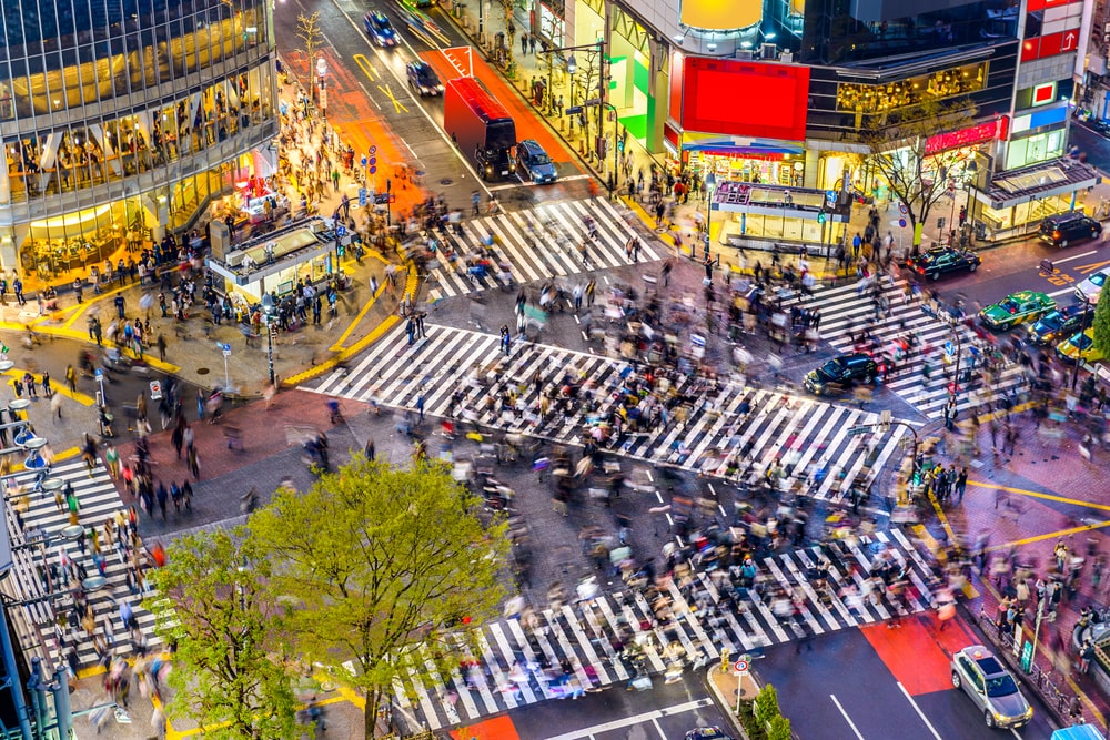 Watching the sea of people move at Shibuya Crossing is an unforgettable sight on our Japan Language study tours for teenagers.